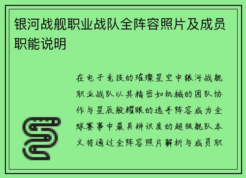 银河战舰职业战队全阵容照片及成员职能说明